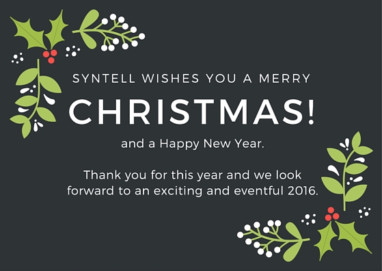 Syntell wishes you a Merry Christmas and Happy New Year!